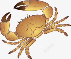 卡通手绘夏日海边螃蟹素材