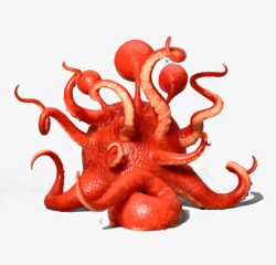 红色的章鱼图案素材