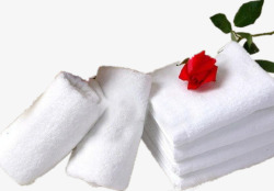 色差一只玫瑰放在毛巾上高清图片
