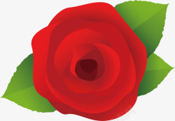 玫瑰花图案矢量图素材