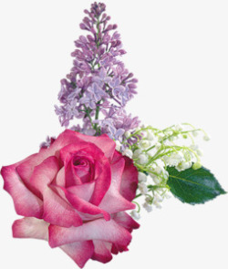 绽放粉色紫色白色花朵素材