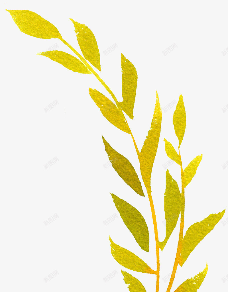 青黄色叶子png免抠素材_新图网 https://ixintu.com 卡通 叶子 手绘 枝叶 桔梗 简图 绿色的 黄色的