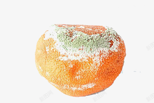 发霉的橘子png免抠素材_新图网 https://ixintu.com 发霉 橘子 真实图