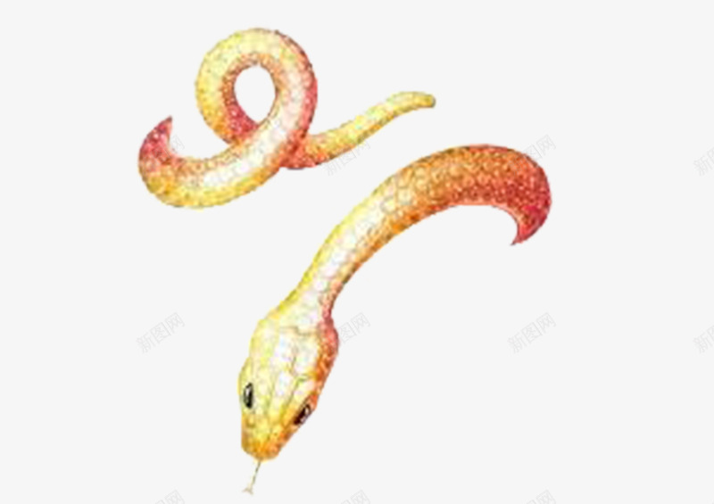 金黄色的蛇png免抠素材_新图网 https://ixintu.com 你还在等什么 动物 蛇 财富 金黄色