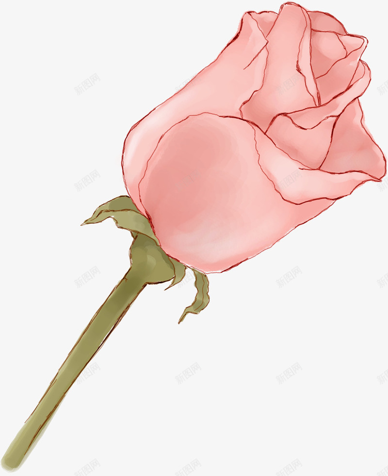 合成粉色的红色玫瑰效果手绘png免抠素材_新图网 https://ixintu.com 合成 效果 玫瑰 粉色 红色