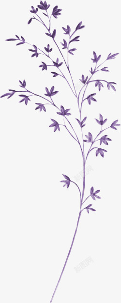 紫色创意枝叶素材