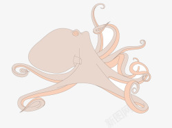 章鱼的触角章鱼高清图片