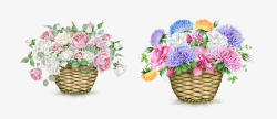 手绘水彩绘画花盆花朵素材