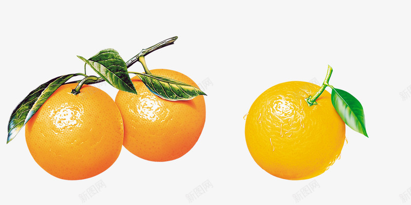 橙子bpng免抠素材_新图网 https://ixintu.com 新鲜 橙子 水果 维C 金黄色