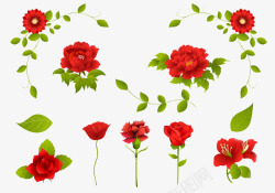 红玫瑰康乃馨花卉素材