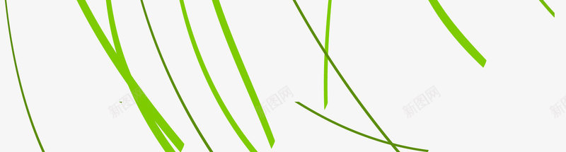 手绘绿色清新优雅线条装饰png免抠素材_新图网 https://ixintu.com 优雅 清新 线条 绿色 装饰