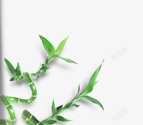 绿色枝叶树叶图标png_新图网 https://ixintu.com 图标 枝叶 树叶 绿色 设计
