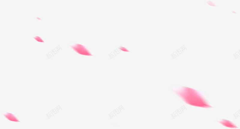 玫红色飘扬花瓣植物装饰png免抠素材_新图网 https://ixintu.com 植物 红色 花瓣 装饰 飘扬