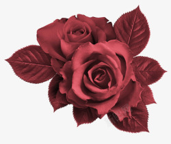 红色玫瑰和红色叶子素材