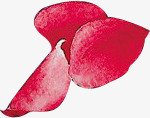 红色手绘玫瑰花瓣素材