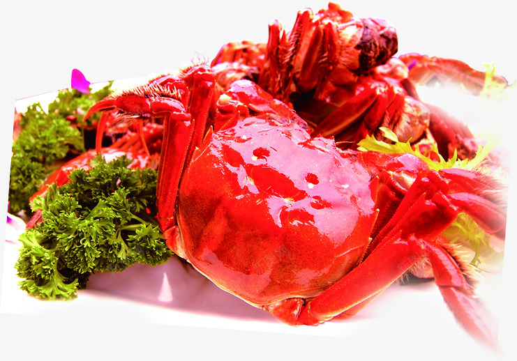 红色螃蟹食物png免抠素材_新图网 https://ixintu.com 红色 螃蟹 食物