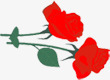 红色大气玫瑰背景素材
