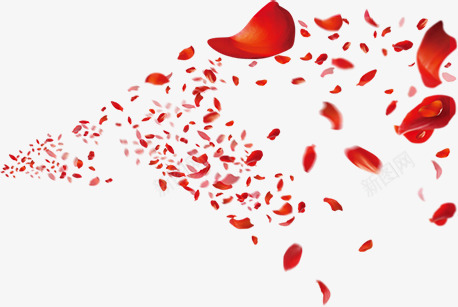 红色玫瑰花装饰背景png免抠素材_新图网 https://ixintu.com 玫瑰花 红色 装饰 设计