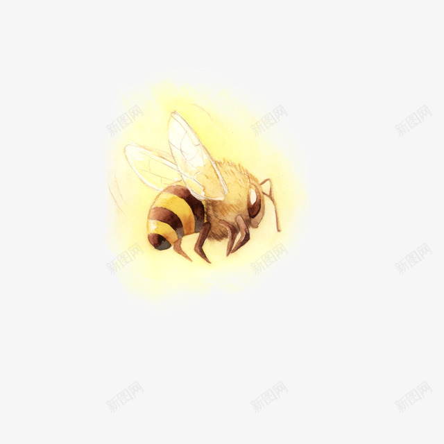 蜜蜂装饰图案png免抠素材_新图网 https://ixintu.com 卡通 可爱 萌 蜜蜂 黄色