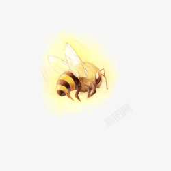 蜜蜂装饰图案素材