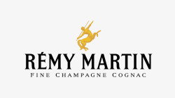 酒品牌RemyMartin图标高清图片