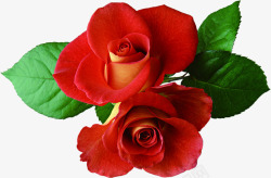 红色艺术美景玫瑰花朵素材