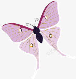 紫色唯美手绘蝴蝶风光素材