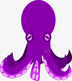 章鱼的触角紫色章鱼高清图片
