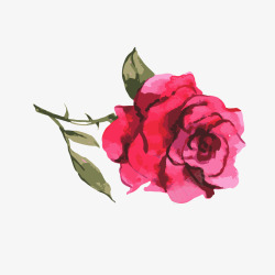 水彩手绘玫瑰花矢量图素材