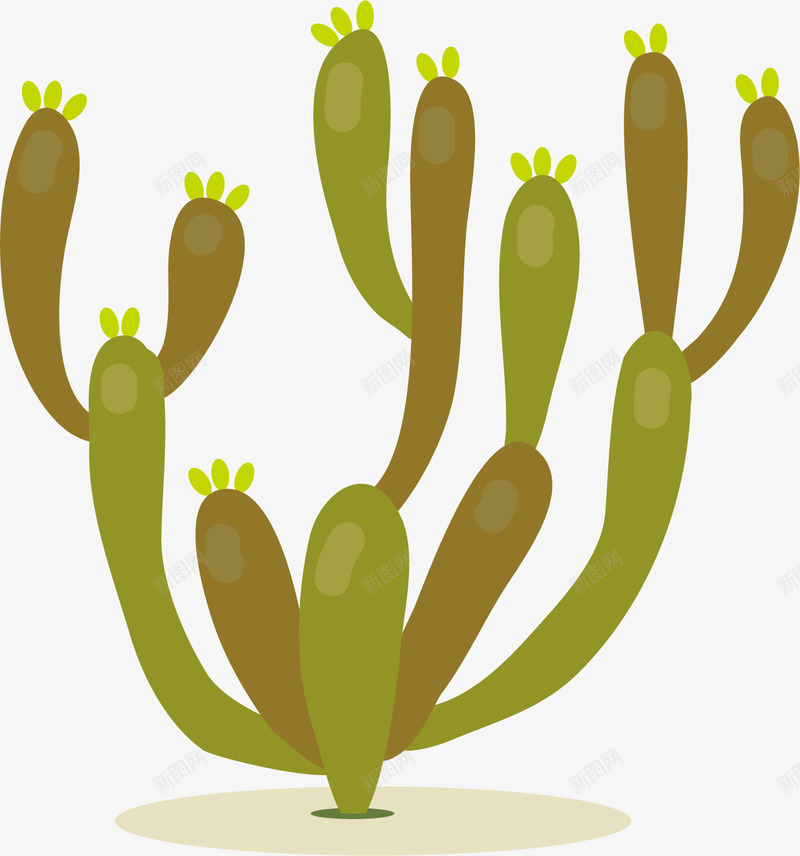 沙漠里的仙人掌png免抠素材_新图网 https://ixintu.com png图形 png装饰 仙人掌 手绘 植物 绿色 装饰