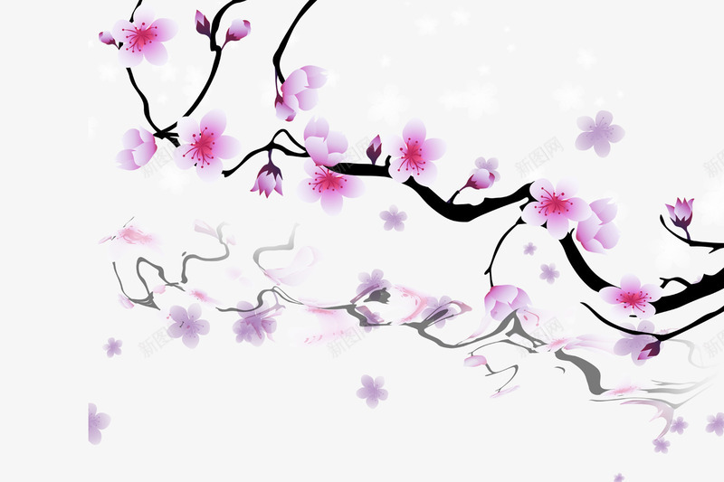 粉色桃花png免抠素材_新图网 https://ixintu.com 倒影 桃花 梅花 粉色
