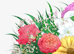 母亲节手绘插画花朵花束素材