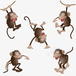 矢量猴子动作猴子高清图片