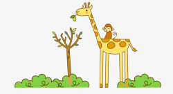 长颈鹿吃草素材