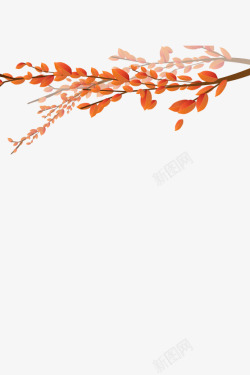 秋日树枝秋日红叶与树枝枝干高清图片