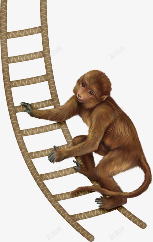 卡通爬梯猴子png免抠素材_新图网 https://ixintu.com 卡通手绘 梯子 爬梯 猴子 耍杂技
