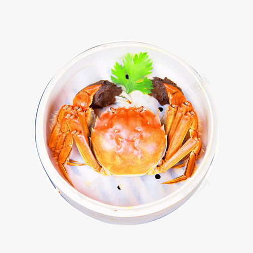 螃蟹png免抠素材_新图网 https://ixintu.com 毛爪 海货 生鲜 美食 螃蟹