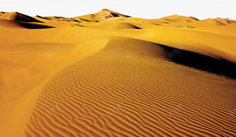 荒芜沙漠png免抠素材_新图网 https://ixintu.com 沙子 沙漠 荒芜 表面
