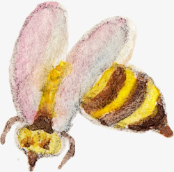 工蜂蜜蜂高清图片