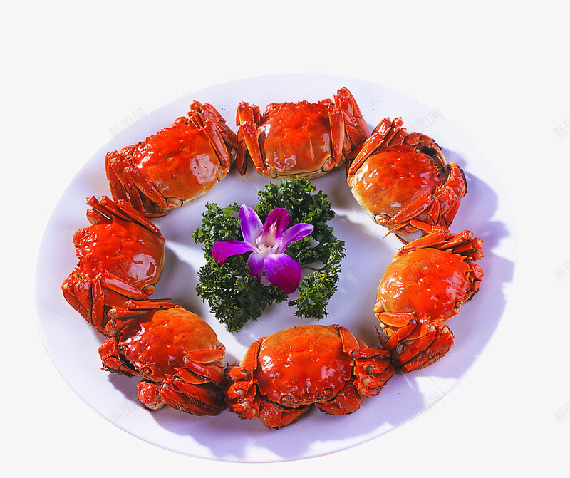 一盘美食螃蟹png免抠素材_新图网 https://ixintu.com 一盘螃蟹 大闸蟹 河蟹 红色的螃蟹 螃蟹