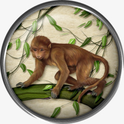 卡通手绘猴子圆盘相框装饰素材