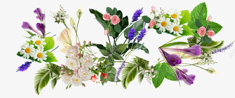 各种各样的花和叶psd免抠素材_新图网 https://ixintu.com 叶 植物 清新优雅 花