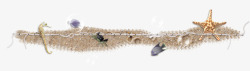 海沙沙子海马螃蟹高清图片