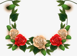 双色玫瑰双色玫瑰花标题栏高清图片