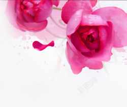 创意水彩合成红色的玫瑰花素材