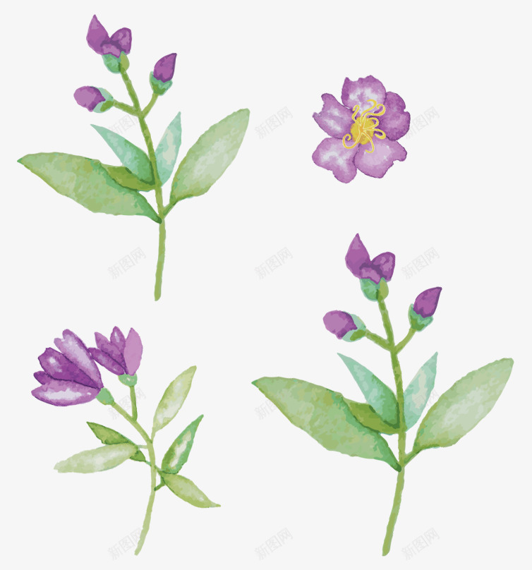 紫色手绘花系列psd免抠素材_新图网 https://ixintu.com 植物 紫色 花卉 花朵