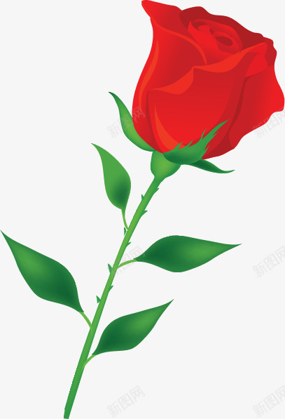 一枝红玫瑰png免抠素材_新图网 https://ixintu.com 情人节素材 手绘 红玫瑰 花朵 鲜花