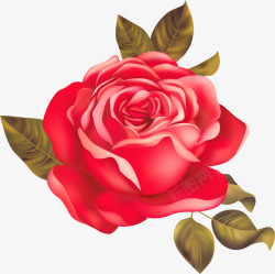 精美红色玫瑰花矢量图素材