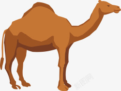 沙漠之舟骆驼矢量图高清图片