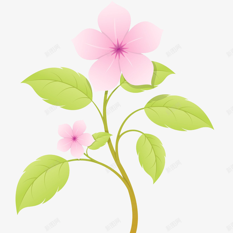 鲜花绽放png免抠素材_新图网 https://ixintu.com 粉色 绿色 美好 花朵